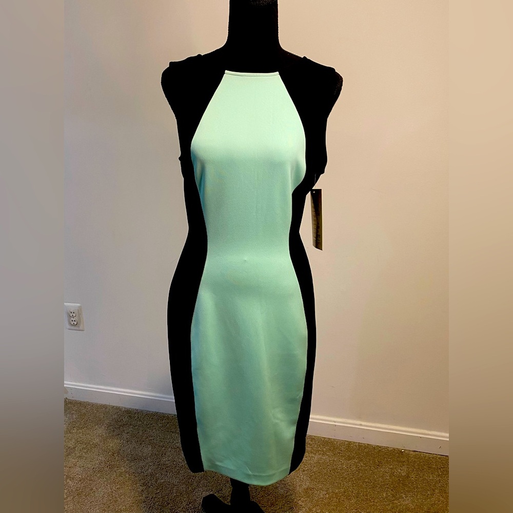 Boston Proper green and black dress